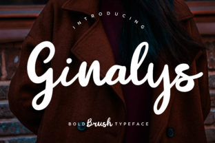 Ginalys: A Chunky Script Font with Editorial Warmth