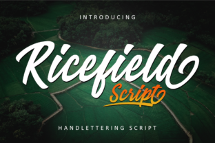 Ricefield: A Vintage Script Font for Editorial Charm